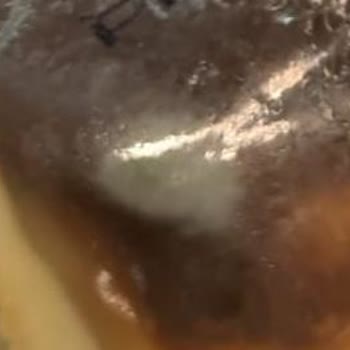 Şok Market Lezztat Fırın Sütlaç Küflü