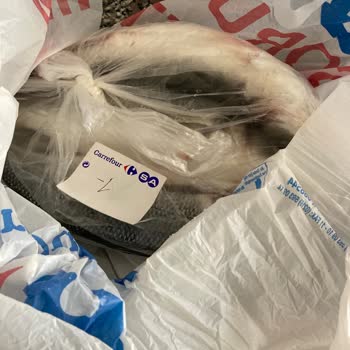 Carrefour SA Bozuk Ürün Getiriyor Ve Geri Almıyor