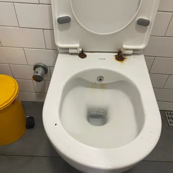 Burger King Temizlik Problemi Temizlik