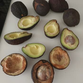 Migros Sanal Market İade İçin Geri Dönüş Yapmıyor.