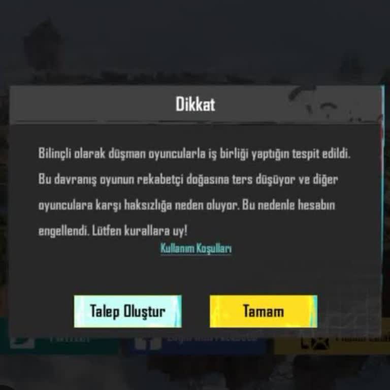 PUBG Mobile Teaming Den Engellenme