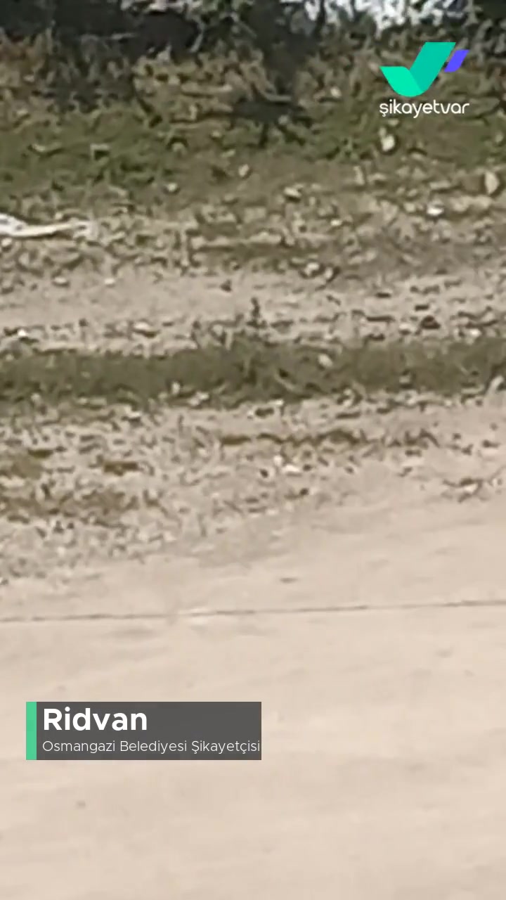 Osmangazi Belediyesi Çöp Ve Atılan Bazı Maddeler videonun kapak resmi