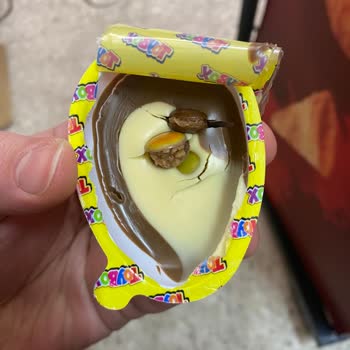 Toybox Max Yumurta Kurtlu