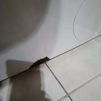 Bosch Marka Çamaşır Makinesi Boyası Dökülüyor