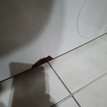 Bosch Marka Çamaşır Makinesi Boyası Dökülüyor