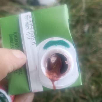 İçim Meyve Suyu İçim Vişneli Meyve Suyu