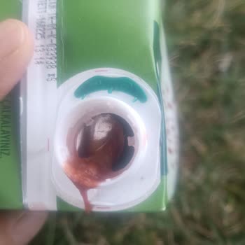 İçim Meyve Suyu İçim Vişneli Meyve Suyu