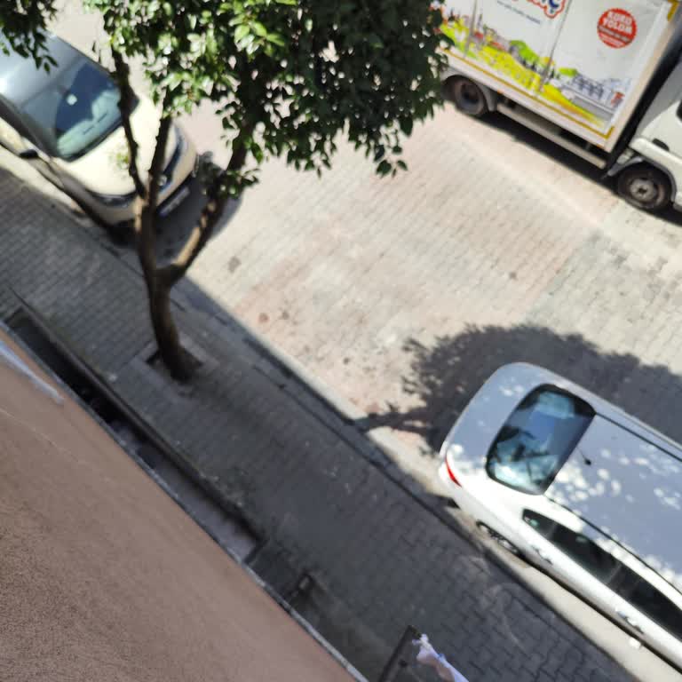 PTT Kargo Dağıtım Elemanları Üslup Ve Tembelliği