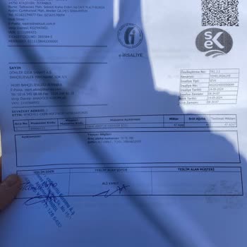 Apple 11 128 GB Arka Kamera