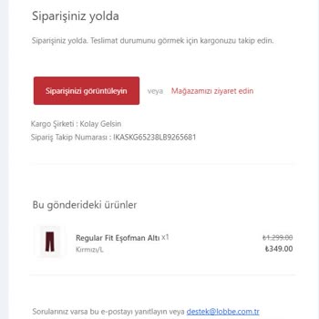 Lobbeco Borda Ne Zaman Gri Oldu