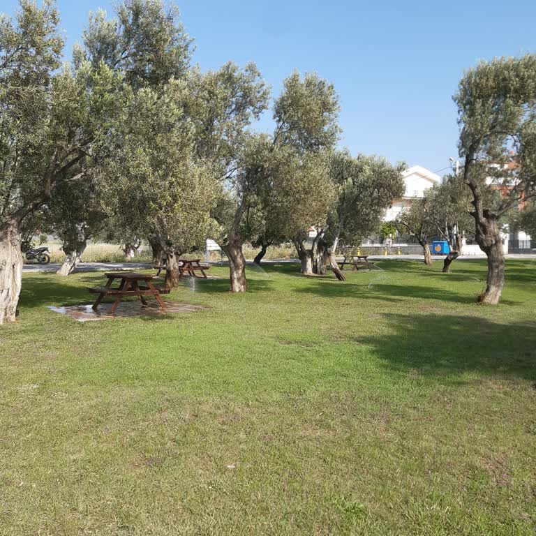 Burhaniye Belediyesi Pelitköy İçmeler Piknik Alanı Sulama Saatleri