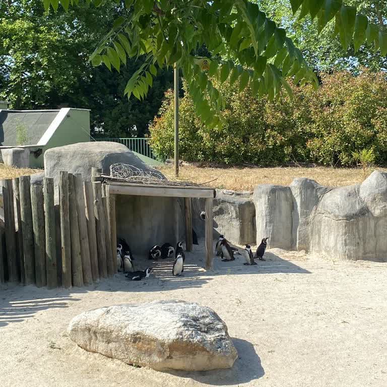 Bursa Hayvanat Bahçesi'nin Bakımsızlığı Ve Hayvanların Eziyeti