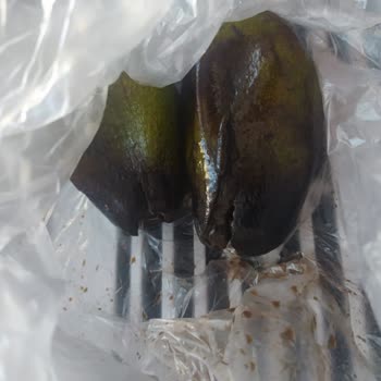 Migros Sanal Market Çürümüş Ürünleri Gönderiyor