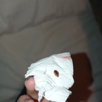 Looks Hotel Manisa Tahtakurusu Sorunu