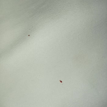 Looks Hotel Manisa Tahtakurusu Sorunu