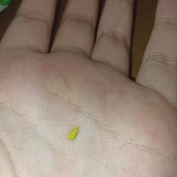 Toybox Sakızının İçinden Oyuncak Parçası Çıktı