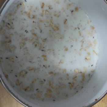 Eti Gıda Eti Lifalif Ve Sinekler