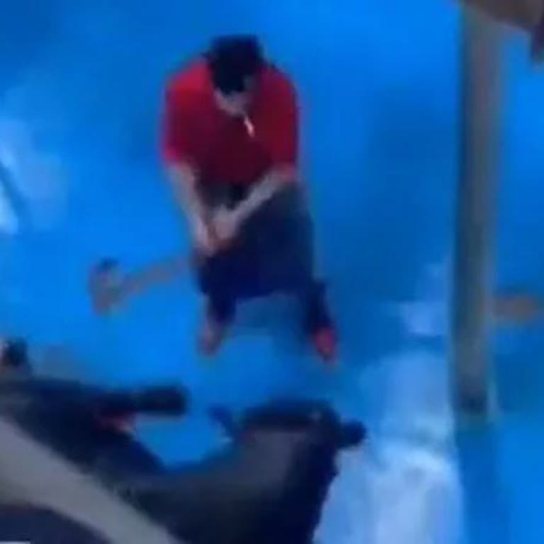 Etaş Et (Amasya - Samsun) Hayvan Haklarına Saygısızlık Ve Tüketici Endişeleri