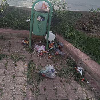 Konya Ereğli Belediyesi Parkın Bakımını İstiyorum