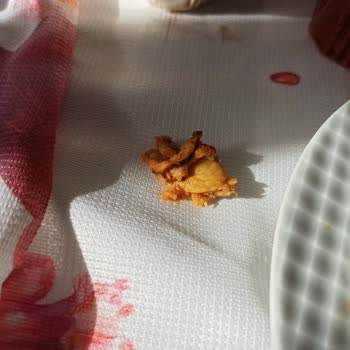 Keskinoğlu Marka Tavuk Döner