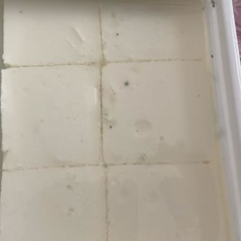 Pınar Et ve Süt Küflü Peynir Şikayeti