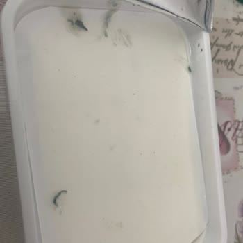 Pınar Et ve Süt Küflü Peynir Şikayeti
