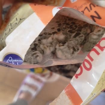 Yayla Bakliyat Küflü Bulgur Pilavı