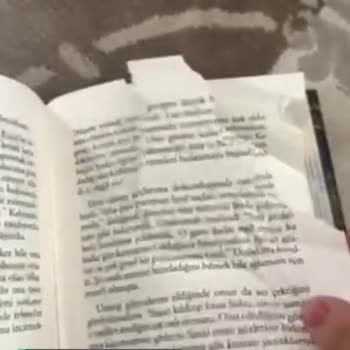 Ephesus Yayınları Ötanazi Okulu Yırtık Sayfa