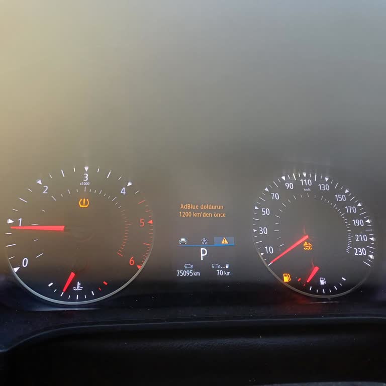 Renault Megane AdBlue Uyarı Işığı Sönmüyor