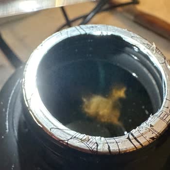 Heromega L-Carnitine İçinde Küf - Tuhaf Şeyler