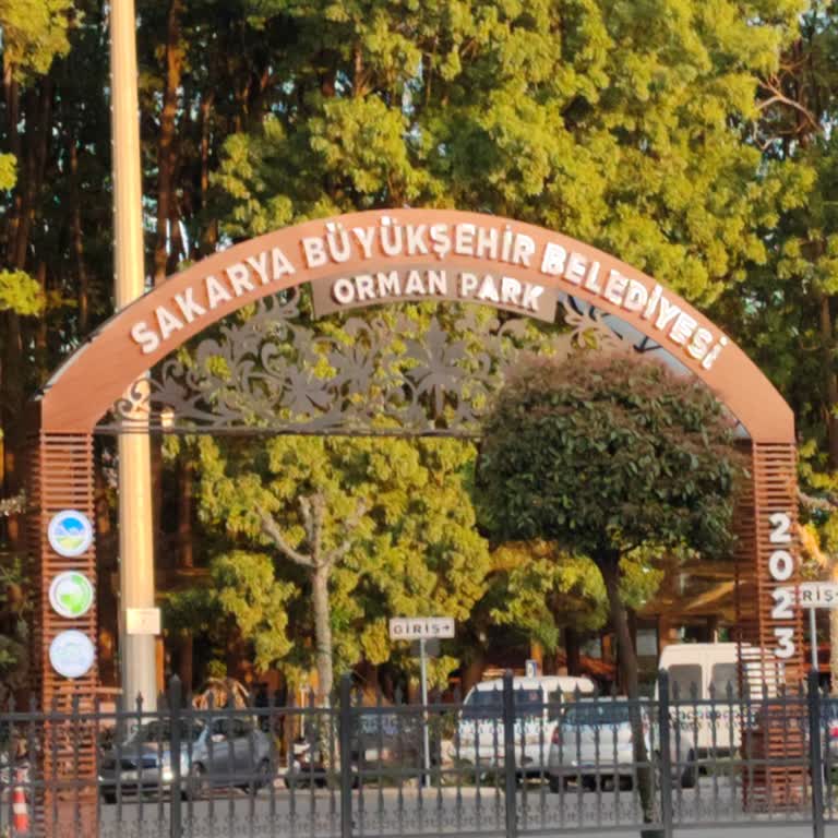 Sakarya Belpaş Orman Park
