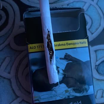 Philip Morris Sigara Patlak Çıktı