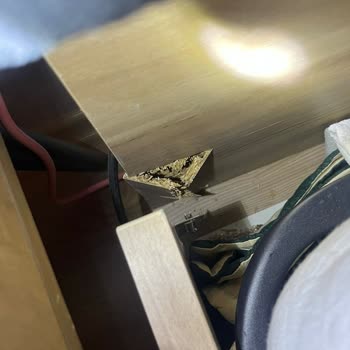 Vivense Geri Dönüş Yapmıyor