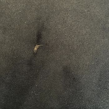 İstikbal Mobilya Hatalı Ürün Mağaza Değişim Yapmıyor