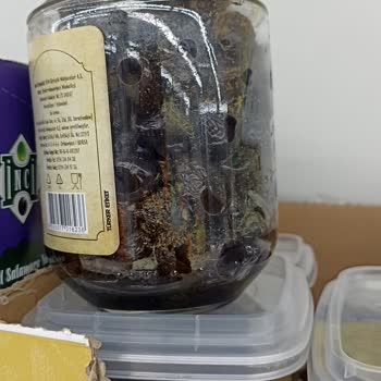 BİM'de Küflü Zeytin Satışı!