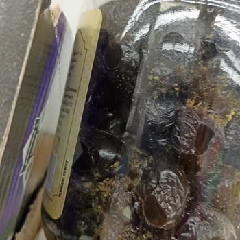 BİM'de Küflü Zeytin Satışı!