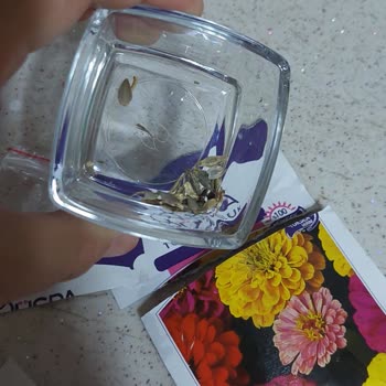 Agr Tohumculuk Tohum Paketleri Boş!