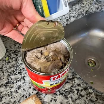 Tamek Taze Tarihli Salçada Küf Şoku: Kalite Kontrol Nerede?