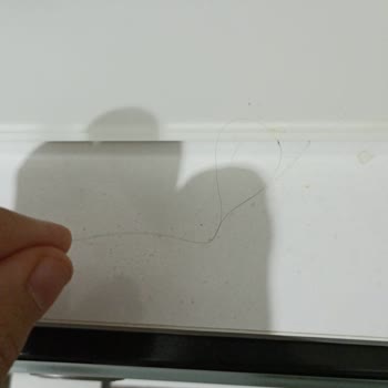 BİM'den Aldığımız Dair Marka Dondurmadan Kıl Çıktı