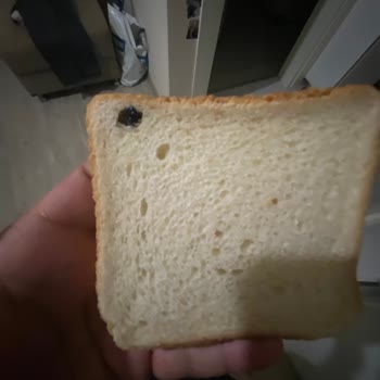 UNO Tost Ekmeği Böcek