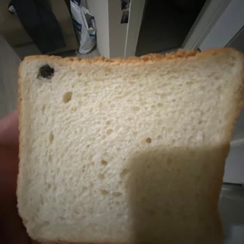 UNO Tost Ekmeği Böcek