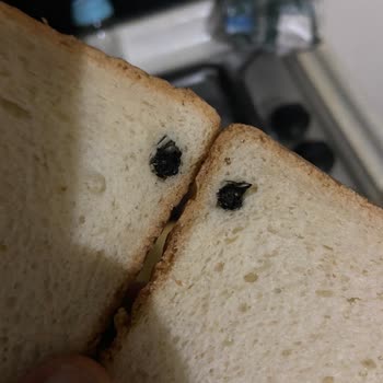 UNO Tost Ekmeği Böcek