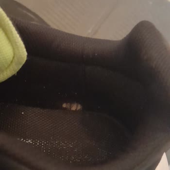 FLO Ve Kinetix Garanti Yalanı