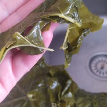 Ege Mahsulleri (Instagram: Ege_mahsulleri) Şikayetçiyim