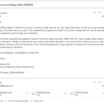 Iyzico Delays in Payment