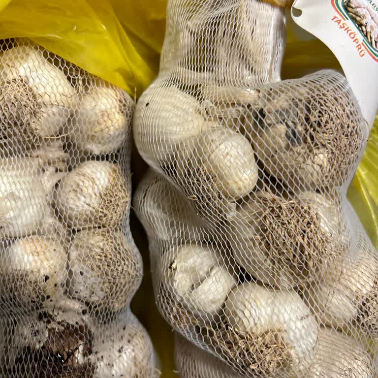 Şok Marketler Şok Çürük Sarımsak