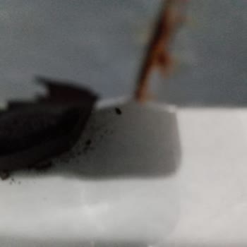 Arçelik Çamaşır Makinesi Pişmanlıktır