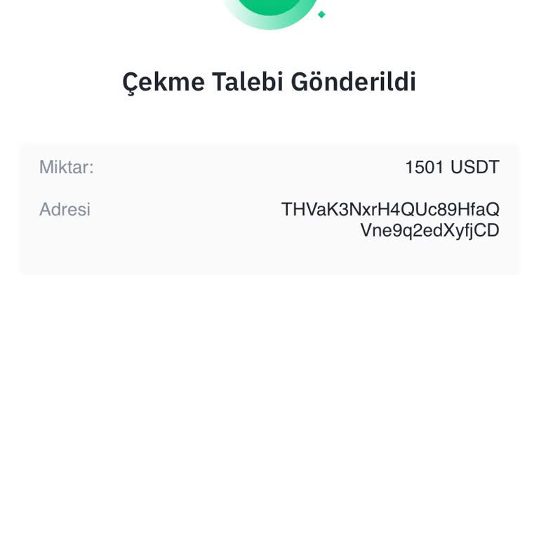 Binance Aracılığı İle Yapılan USDT Transferi İptali