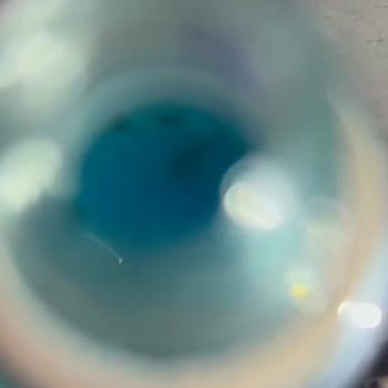 The Natural Ritualist Küflenmiş Serum Gönderildi