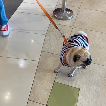 Hijyenden Uzak Akasya AVM.